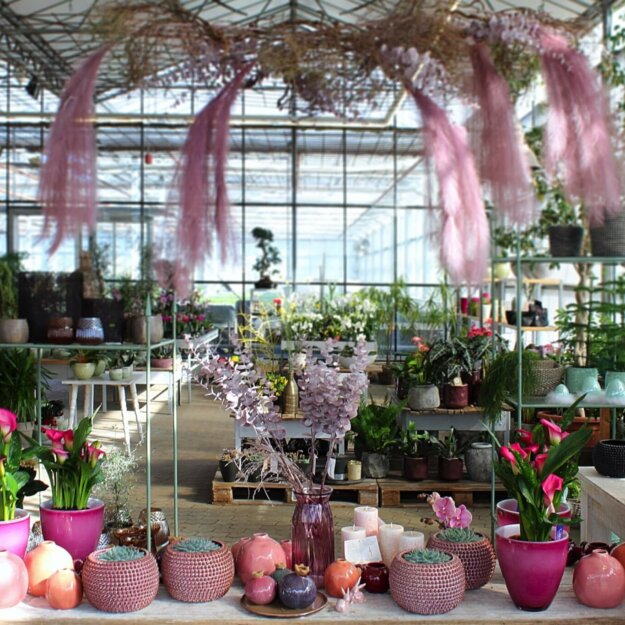 Verkaufsraum Blumenhof schön pink